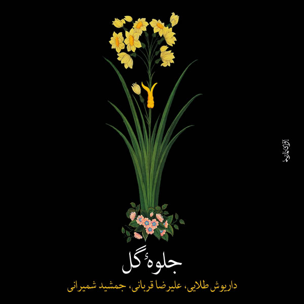 جلوهی گل